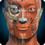 AnatomyLearning