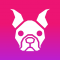 Dog Trainer